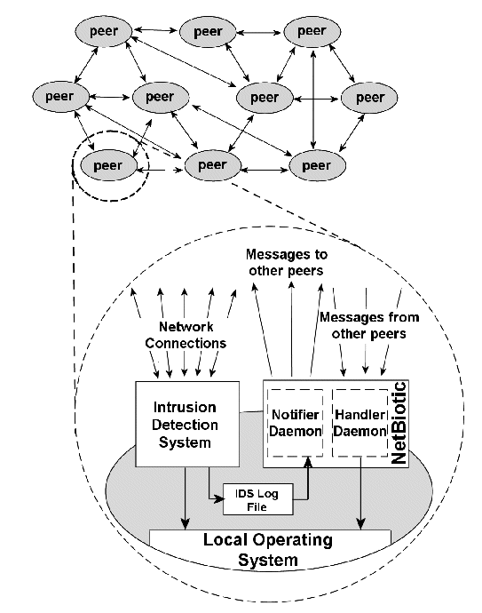 figure1.gif